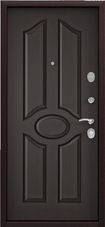 Дверь Torex Starter